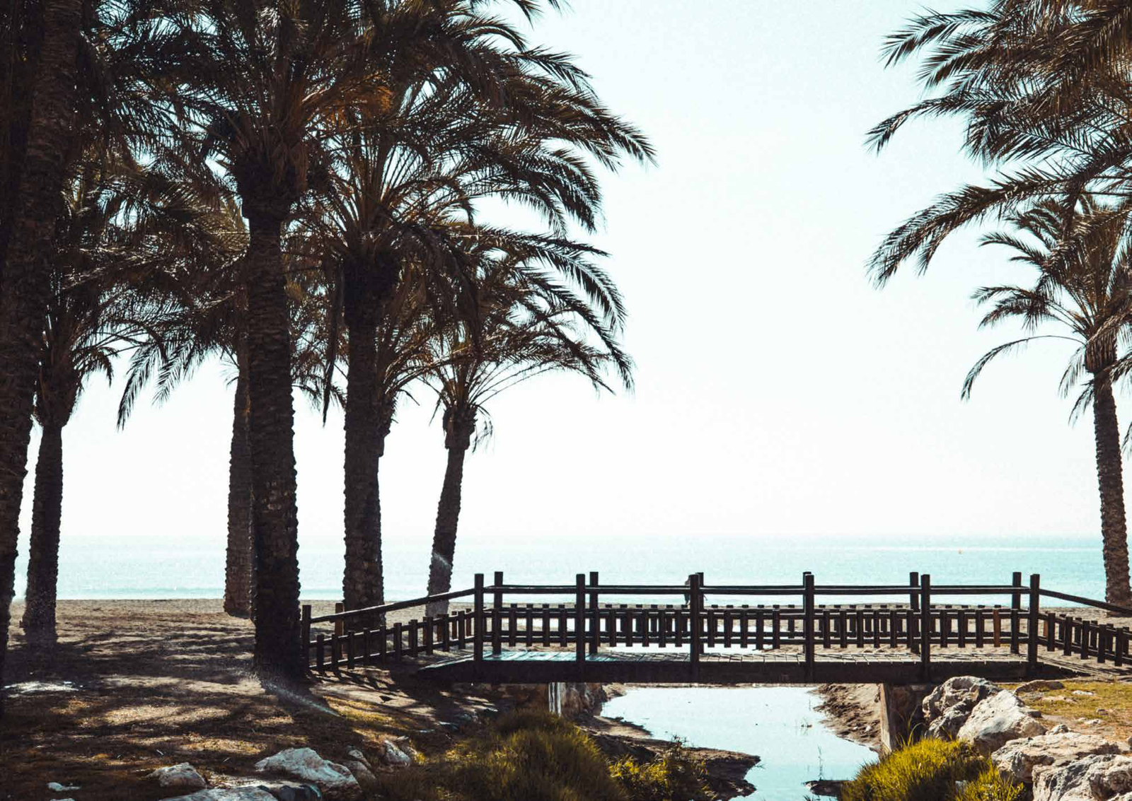 KOSMOS_24_Playa_Palmeras_P26